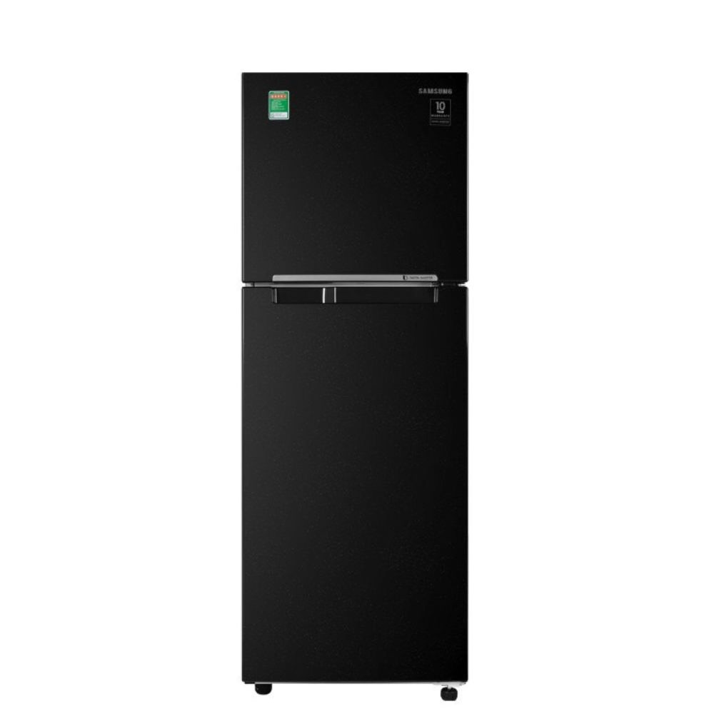 Tủ lạnh Samsung Inverter 236 lít RT22M4032BU/SV